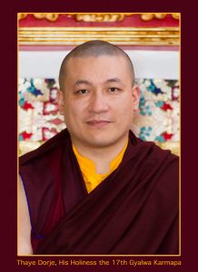 Official Portraits of HH The 17th Gyalwa Karmapa Trinley Thaye D