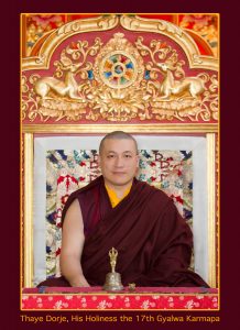 Official Portraits of HH The 17th Gyalwa Karmapa Trinley Thaye D