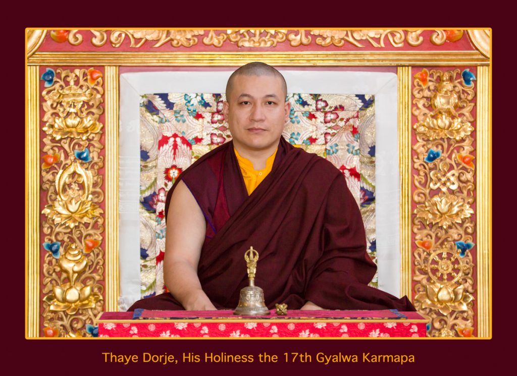 Official Portraits of HH The 17th Gyalwa Karmapa Trinley Thaye Dorje