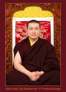 17th Karmapa portrait