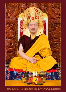 Karmapa Gampopa hat portrait