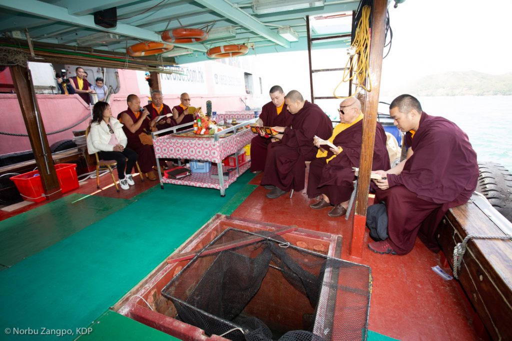 Karmapa leads a traditional fish release ceremony