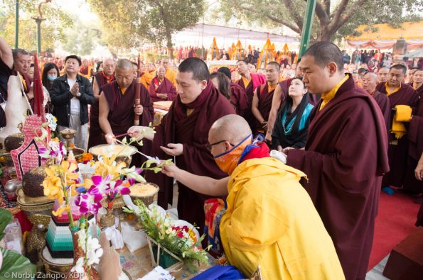 1st day of the Kagyu Monlam. First arrival of HH Gylwa Karmapa and his wife Sangyumla. Prayers under the bodhi tree